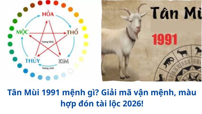 tan-mui-1991-menh-gi