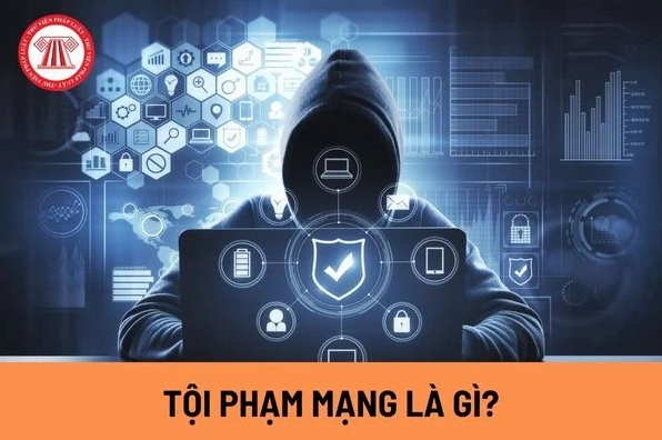 toi-pham-mang-la-gi-hieu-ro-hiem-hoa-va-cach-phong-tranh-hie_448