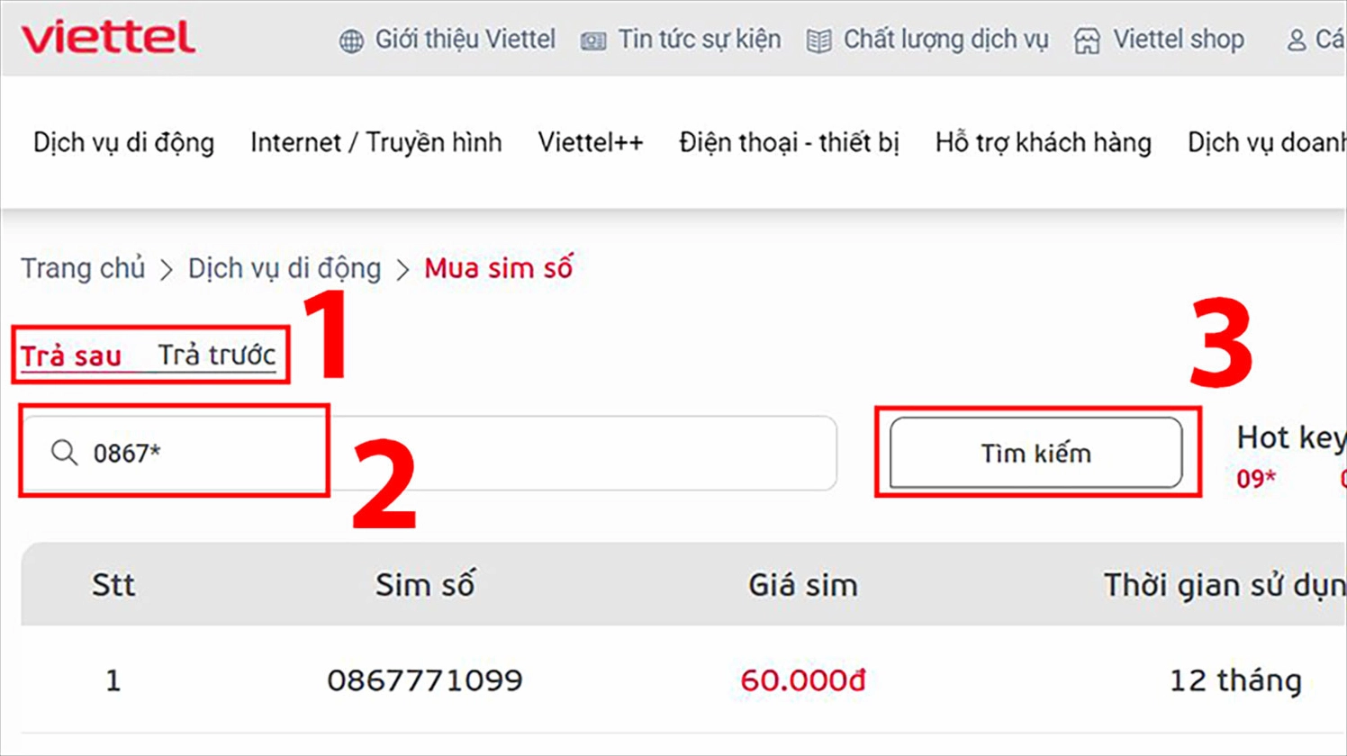 Tra cứu thông tin 0399 là mạng gì trên website nhà mạng