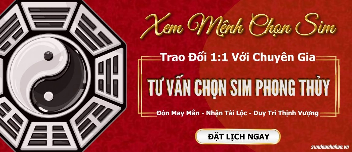 Tư vấn sim phong thủy