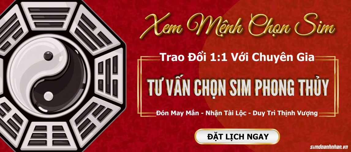 Tư vấn sim phong thủy