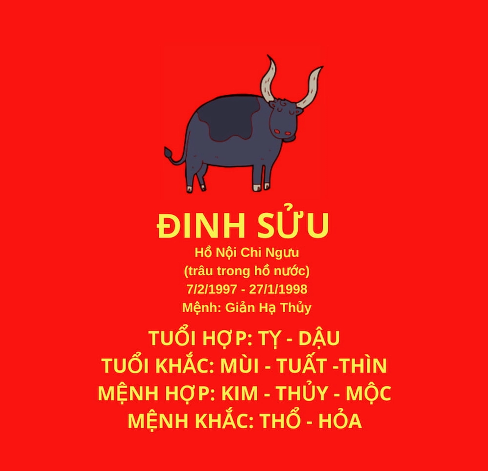Tuổi Đinh Sửu 1997 hợp, kỵ với tuổi nào?
