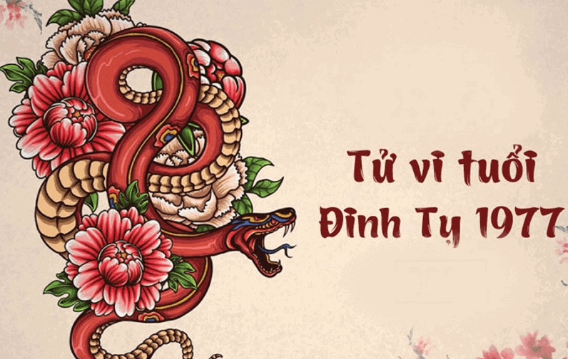 Tuổi Đinh Tỵ mang đặc tính linh hoạt, là người có trách nhiệm nhưng lại thành công khá muộn