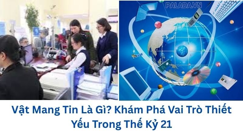 vat-mang-tin-la-gi