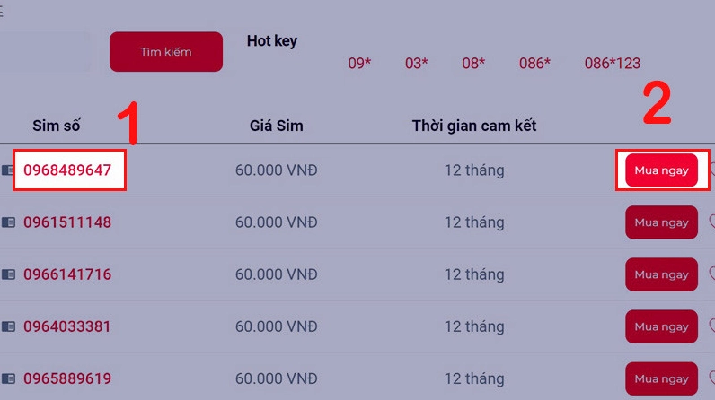Ý nghĩa các con số trong đầu số 0967