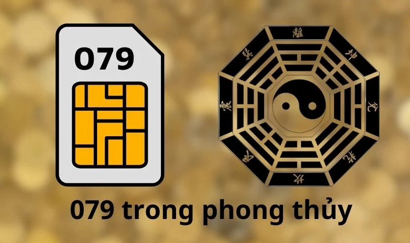ý nghĩa phong thủy đầu số mạng 079 là gì