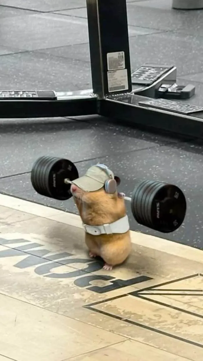 hình nền chế bựa hài hình nền chế bựa hài