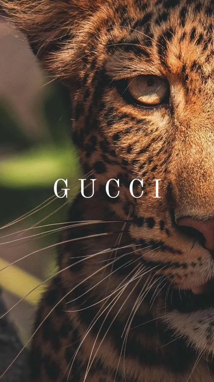 hình nền gucci đẹp hot full hd hình nền gucci đẹp hot full hd