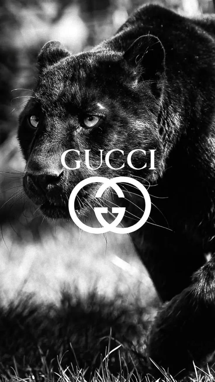 hình nền gucci hd hình nền gucci hd
