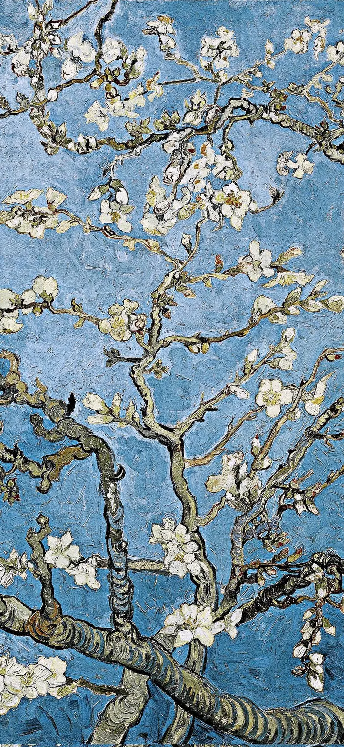 hình nền van gogh nghệ
