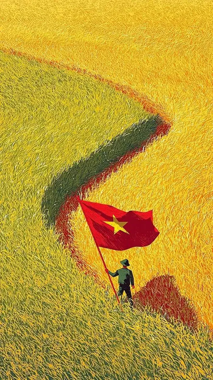 hình nền yêu nước lúa hình nền yêu nước lúa